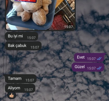kullanıcı tarafından yüklenmiş görsel