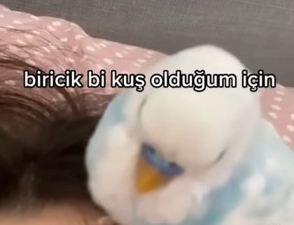 kullanıcı tarafından yüklenmiş görsel