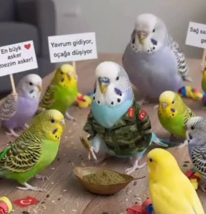 kullanıcı tarafından yüklenmiş görsel