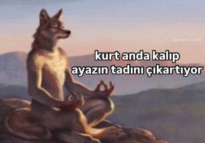 kullanıcı tarafından yüklenmiş görsel