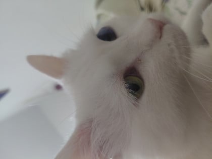 kullanıcı tarafından yüklenmiş görsel