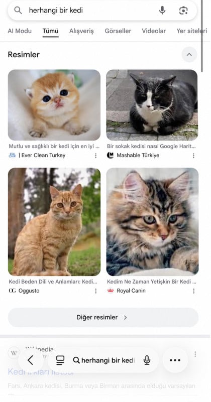 kullanıcı tarafından yüklenmiş görsel