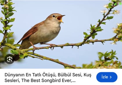 kullanıcı tarafından yüklenmiş görsel