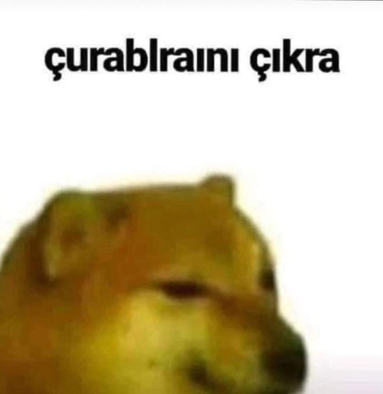 kullanıcı tarafından yüklenmiş görsel