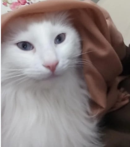 kullanıcı tarafından yüklenmiş görsel