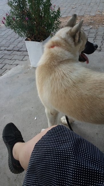 kullanıcı tarafından yüklenmiş görsel