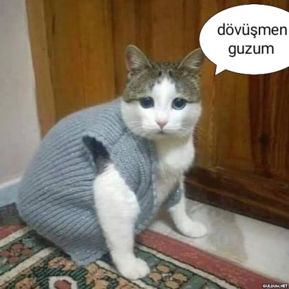 kullanıcı tarafından yüklenmiş görsel