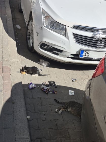 kullanıcı tarafından yüklenmiş görsel
