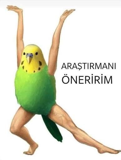 kullanıcı tarafından yüklenmiş görsel