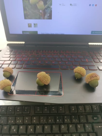 kullanıcı tarafından yüklenmiş görsel