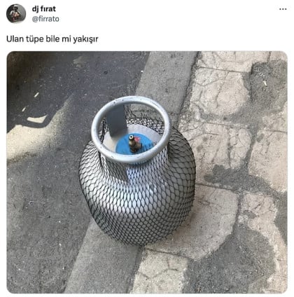 kullanıcı tarafından yüklenmiş görsel
