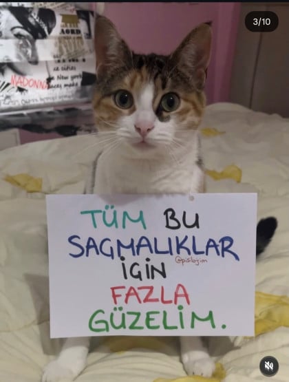 kullanıcı tarafından yüklenmiş görsel