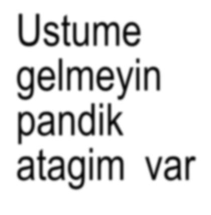 kullanıcı tarafından yüklenmiş görsel