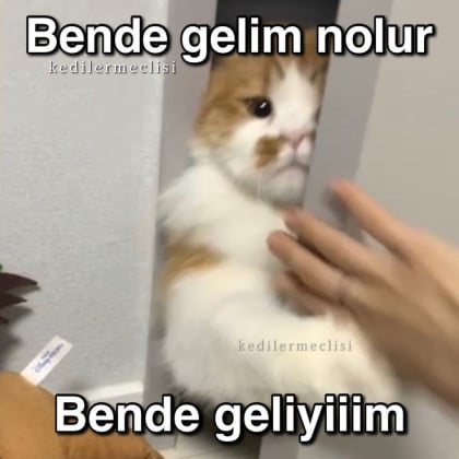 kullanıcı tarafından yüklenmiş görsel