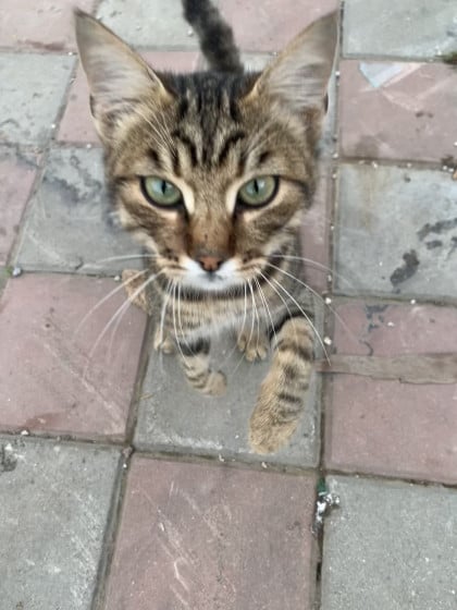 kullanıcı tarafından yüklenmiş görsel