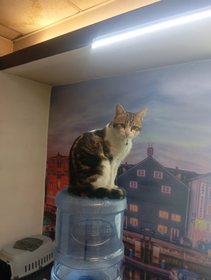 kullanıcı tarafından yüklenmiş görsel