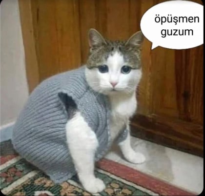 kullanıcı tarafından yüklenmiş görsel