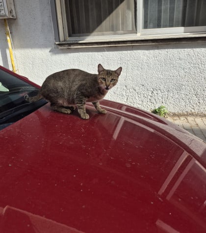 kullanıcı tarafından yüklenmiş görsel