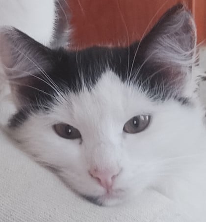 kullanıcı tarafından yüklenmiş görsel
