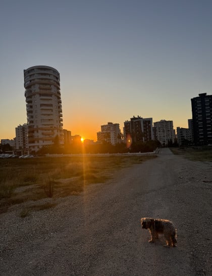 kullanıcı tarafından yüklenmiş görsel