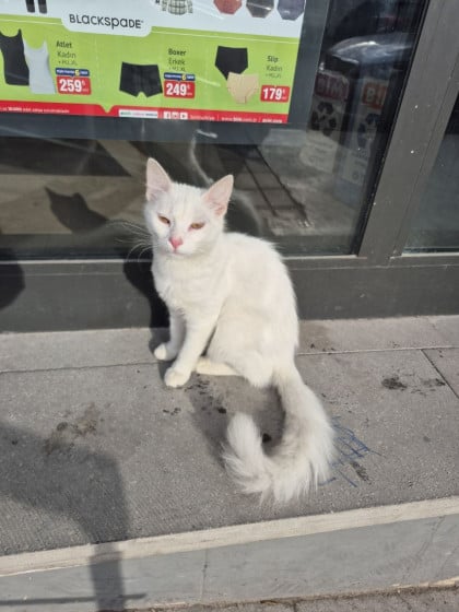 kullanıcı tarafından yüklenmiş görsel