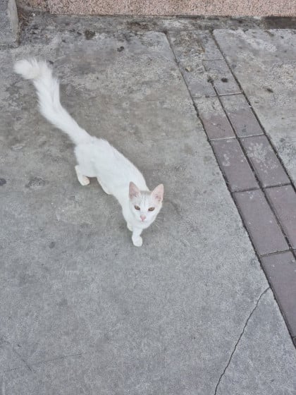 kullanıcı tarafından yüklenmiş görsel