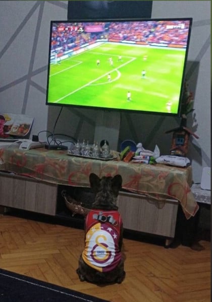 kullanıcı tarafından yüklenmiş görsel